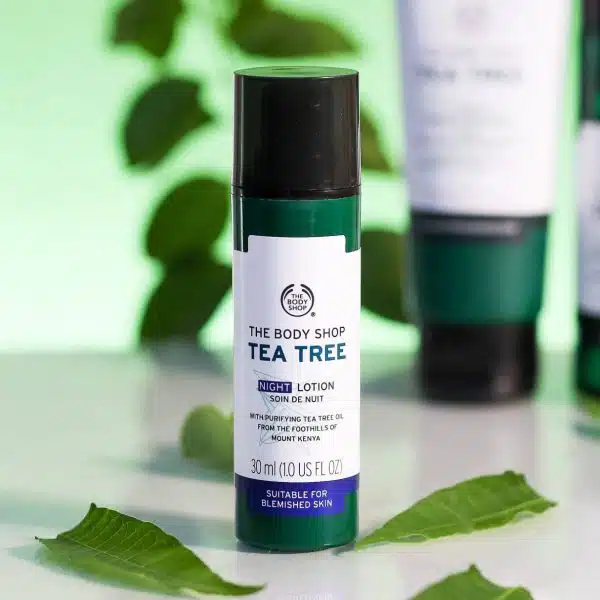 لوسیون شب درخت چای Night Lotion - تصویر 2